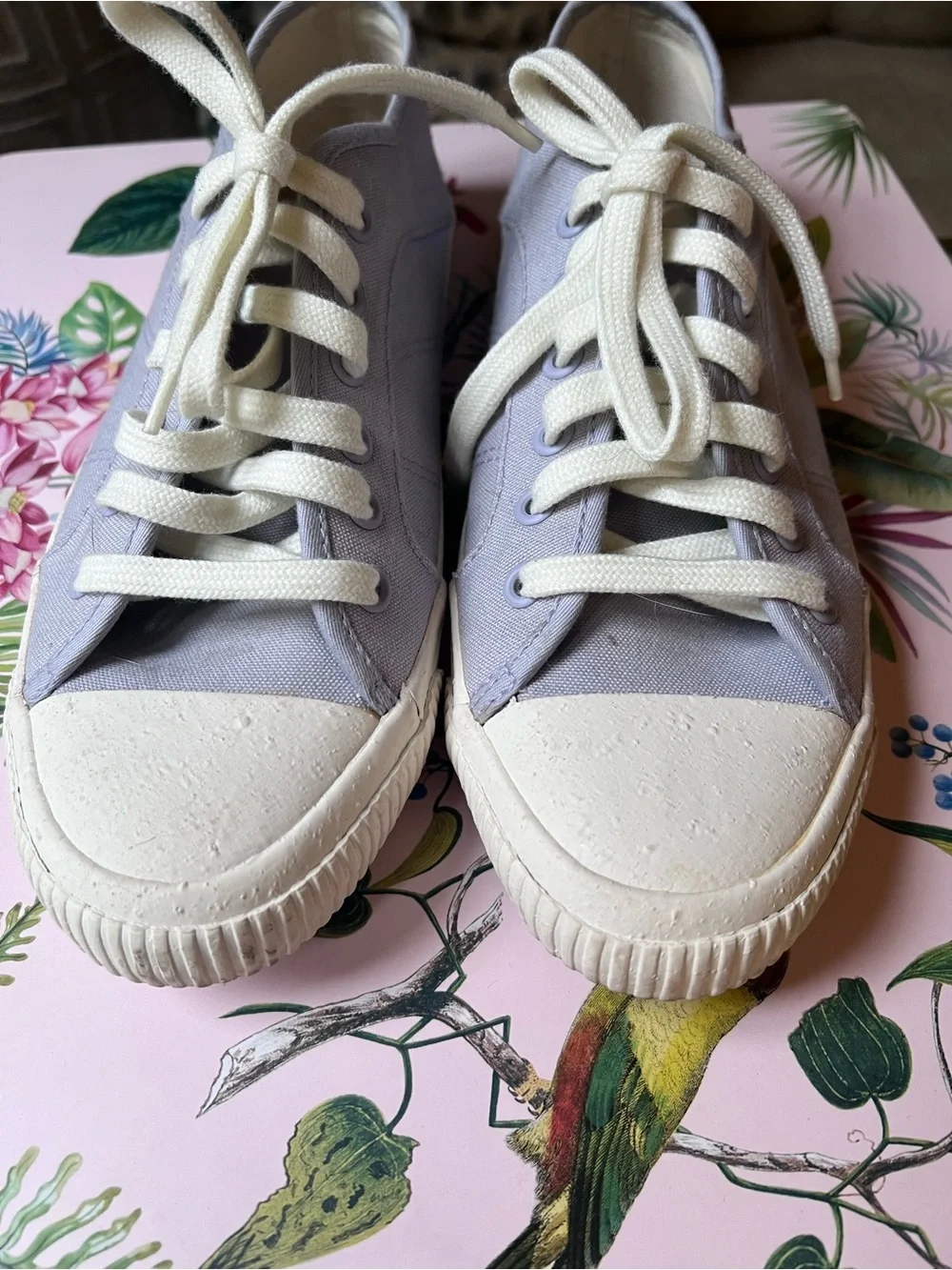 Women's Lavender Canvas Lace-Up Sneakers with Cream Laces